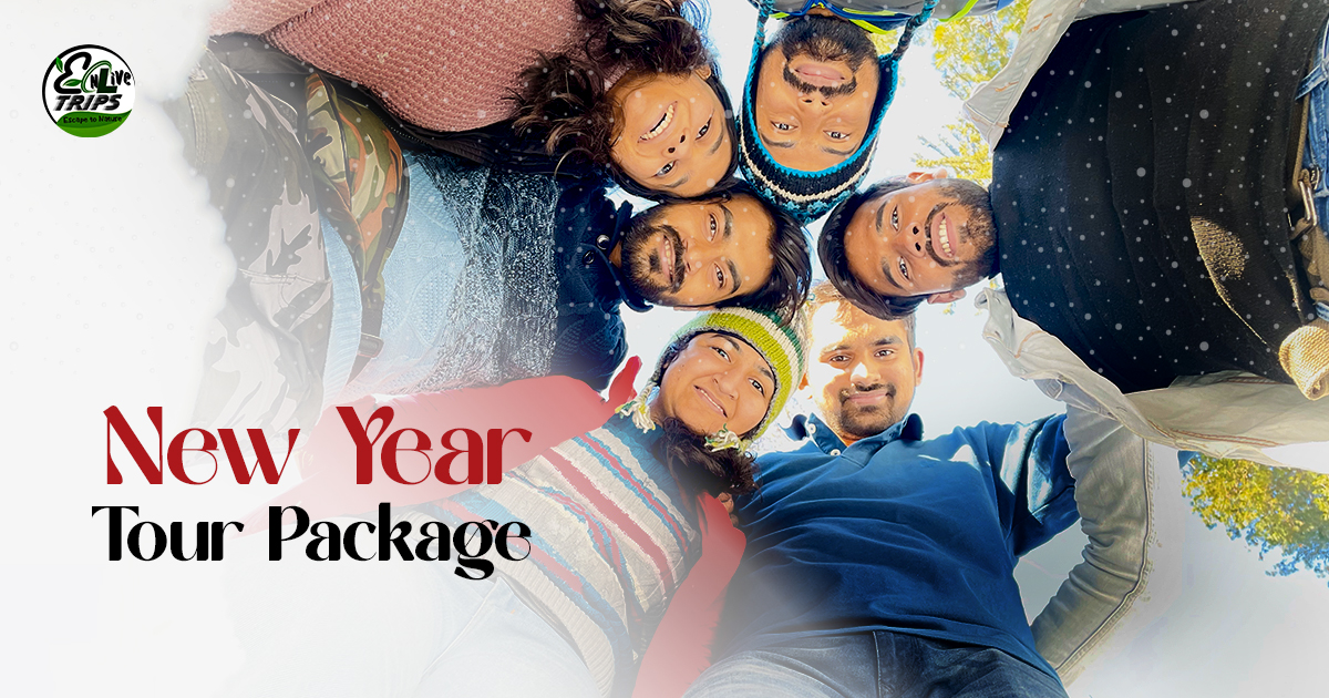 new year trip package 2026